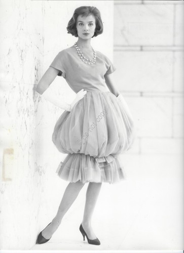Iris bianchi indossatrice - bianchi, foto